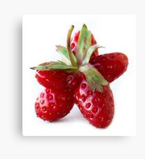 Funny strawberry Canvas Print