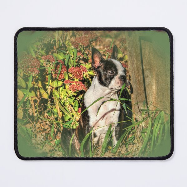 Item preview, "The Natural Snacker" designed and sold by wiscbackroadz.