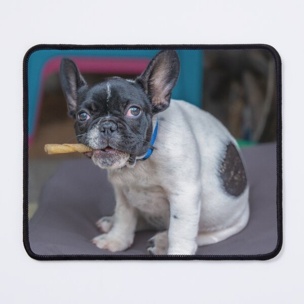 Item preview, Monster Dog designed and sold by OskiOnTour.