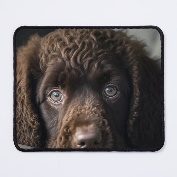 Item preview, Irish Water Spaniel Puppy On The Sofa designed and sold by Mitch-Angelo.