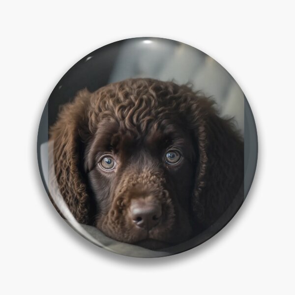Item preview, Irish Water Spaniel Puppy On The Sofa designed and sold by Mitch-Angelo.