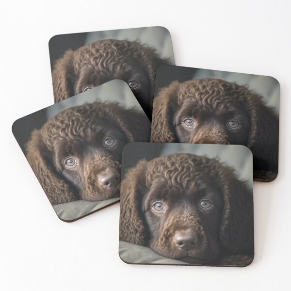 Item preview, Irish Water Spaniel Puppy On The Sofa designed and sold by Mitch-Angelo.
