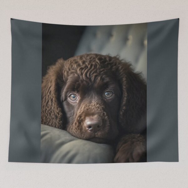 Item preview, Irish Water Spaniel Puppy On The Sofa designed and sold by Mitch-Angelo.