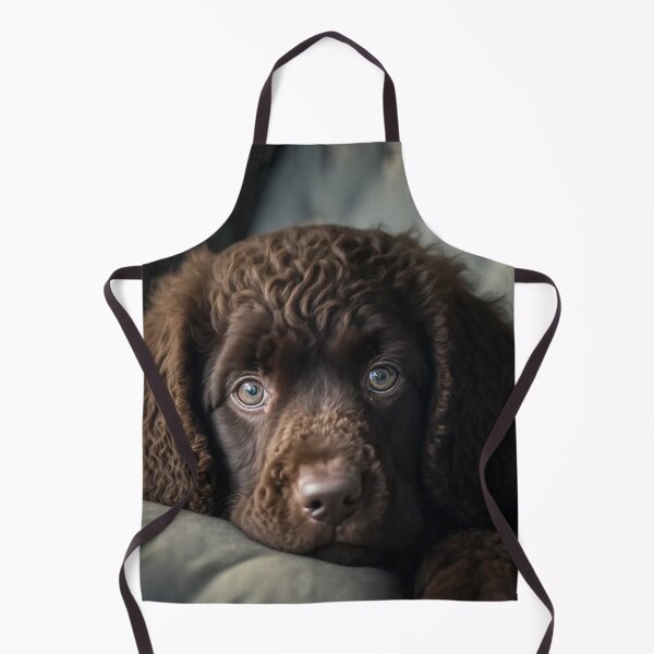 Item preview, Irish Water Spaniel Puppy On The Sofa designed and sold by Mitch-Angelo.
