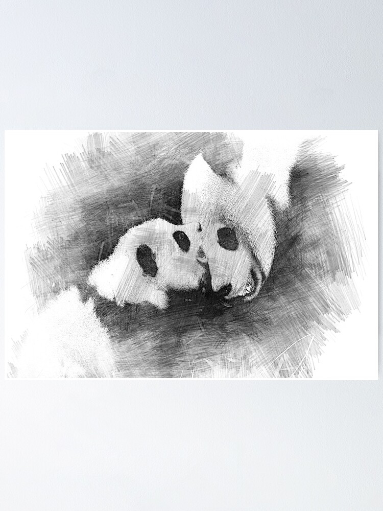 Póster « Dibujo de panda realista HQ» de suntsuki1987 | Redbubble Póster « Dibujo de panda realista HQ» de suntsuki1987 | Redbubble
