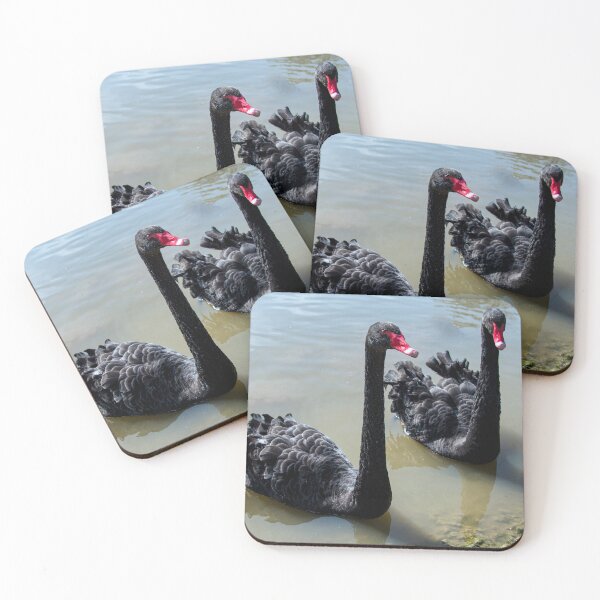 Item preview, Black Swans pair of black swans swiming designed and sold by kathleenjean.