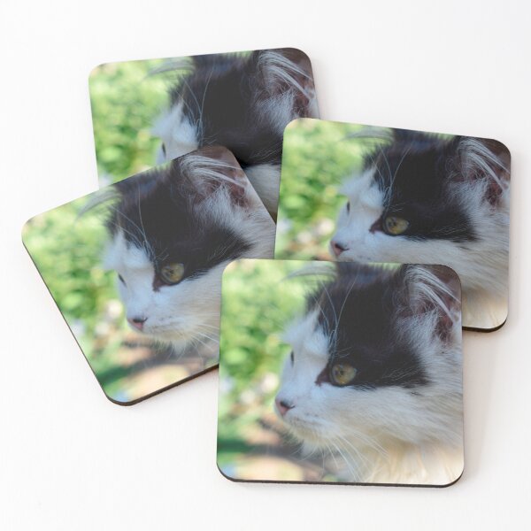 Item preview, Closeup cat shot  designed and sold by GabrielaMoments.