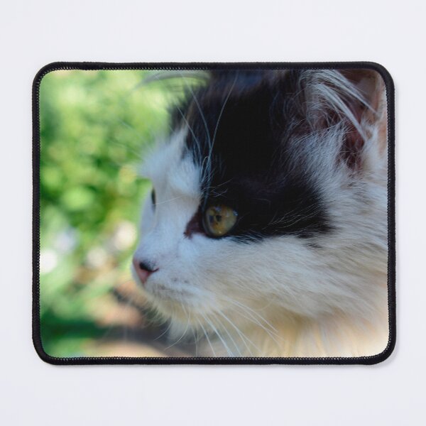 Item preview, Closeup cat shot  designed and sold by GabrielaMoments.