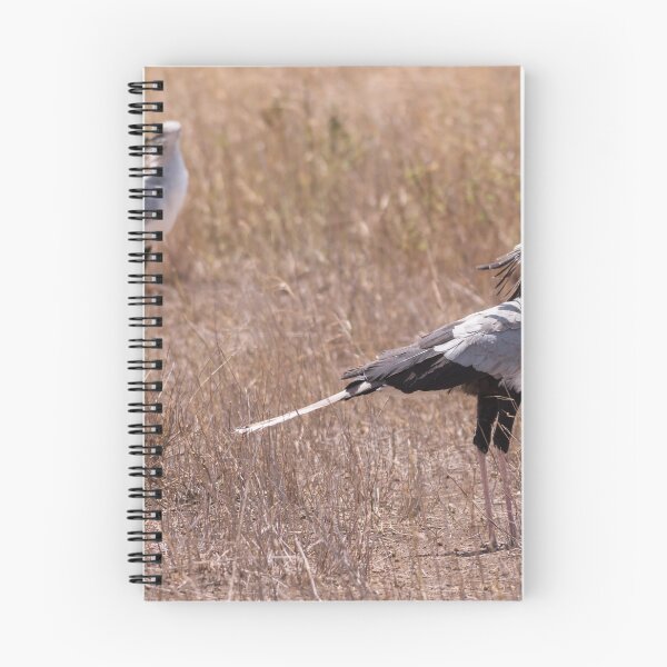 Item preview, Secretary Birds designed and sold by ccullen222.