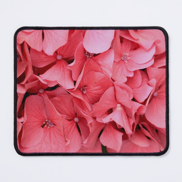 Item preview, Hydrangeas 3 designed and sold by Geoff Treagus.