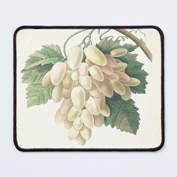 Item preview, Pierre joseph redoute: the most beautiful flowers 1 designed and sold by MARWA-STORE.