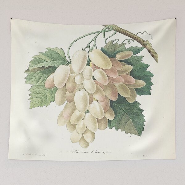 Item preview, Pierre joseph redoute: the most beautiful flowers 1 designed and sold by MARWA-STORE.