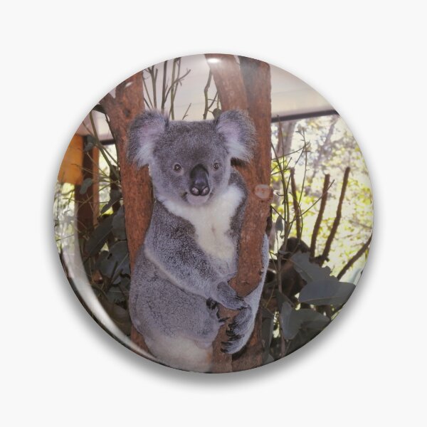 Item preview, Cuddly Australian Koala Bear designed and sold by jaynerushton.