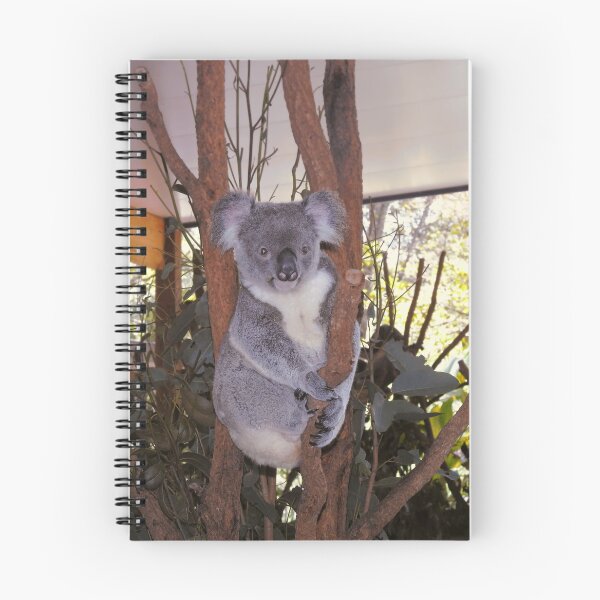 Item preview, Cuddly Australian Koala Bear designed and sold by jaynerushton.