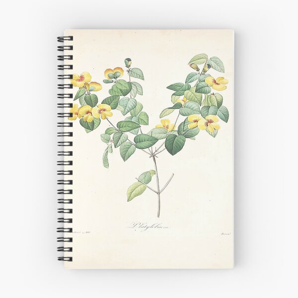 Item preview, Pierre joseph redoubt: the most beautiful flowers 3 designed and sold by MARWA-STORE.