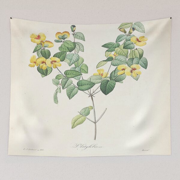Item preview, Pierre joseph redoubt: the most beautiful flowers 3 designed and sold by MARWA-STORE.