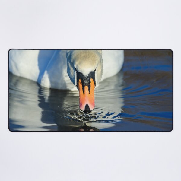 Item preview, Magnífico cisne bebiendo designed and sold by Dalyndigital Photography.