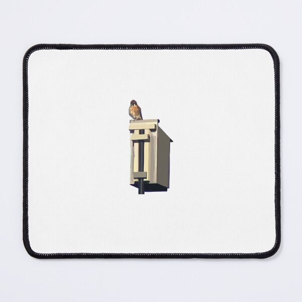 Item preview, American Kestrel on a Nest Box designed and sold by Garrart1.