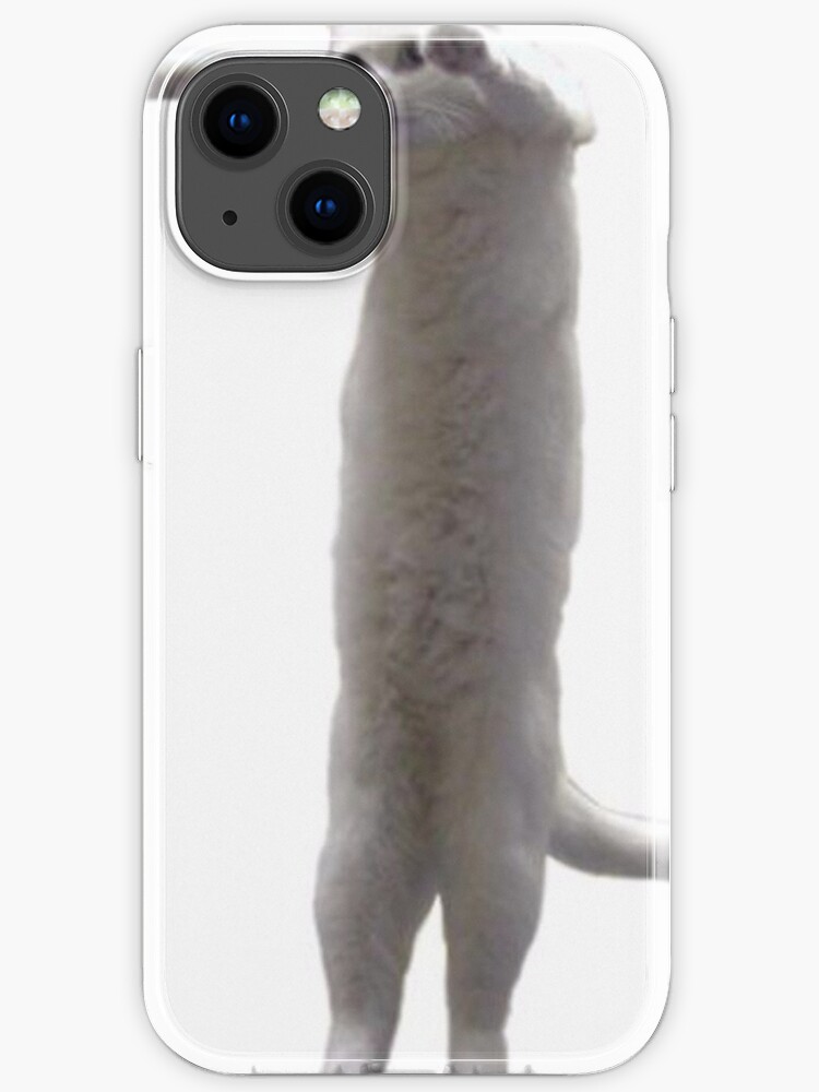 Long Cat Meme Photographic Print for Sale by lolhammer