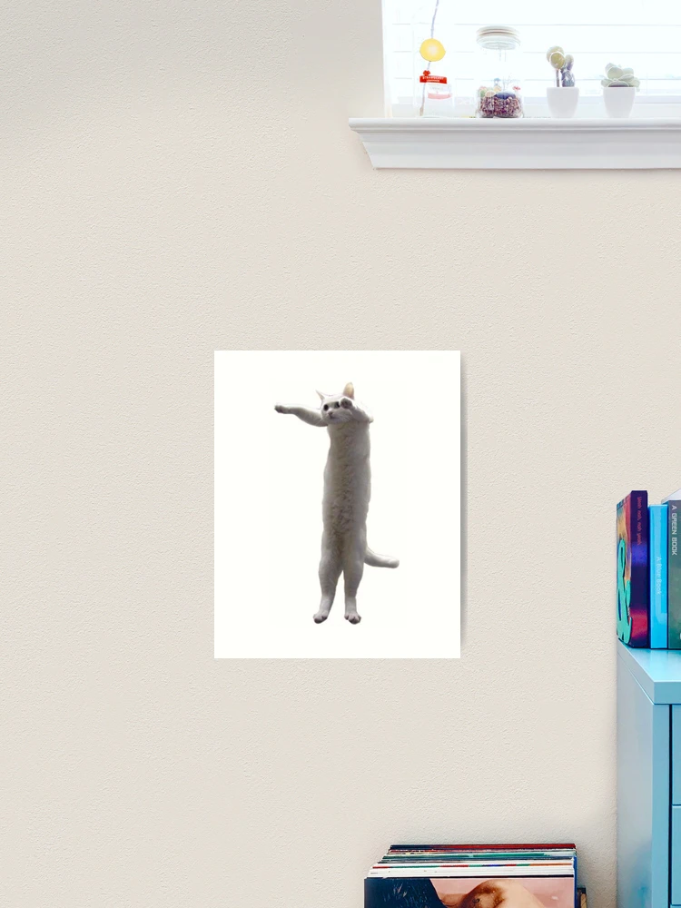 Long Cat Meme Photographic Print for Sale by lolhammer