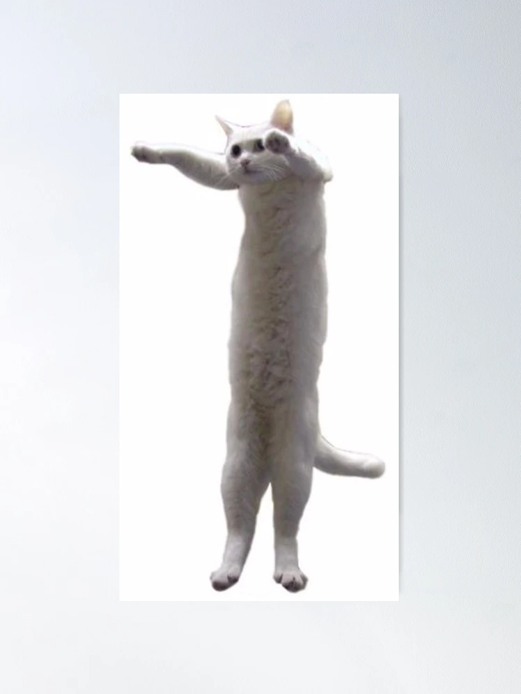 Rebeca Do The Sad Cat Dance Meme 