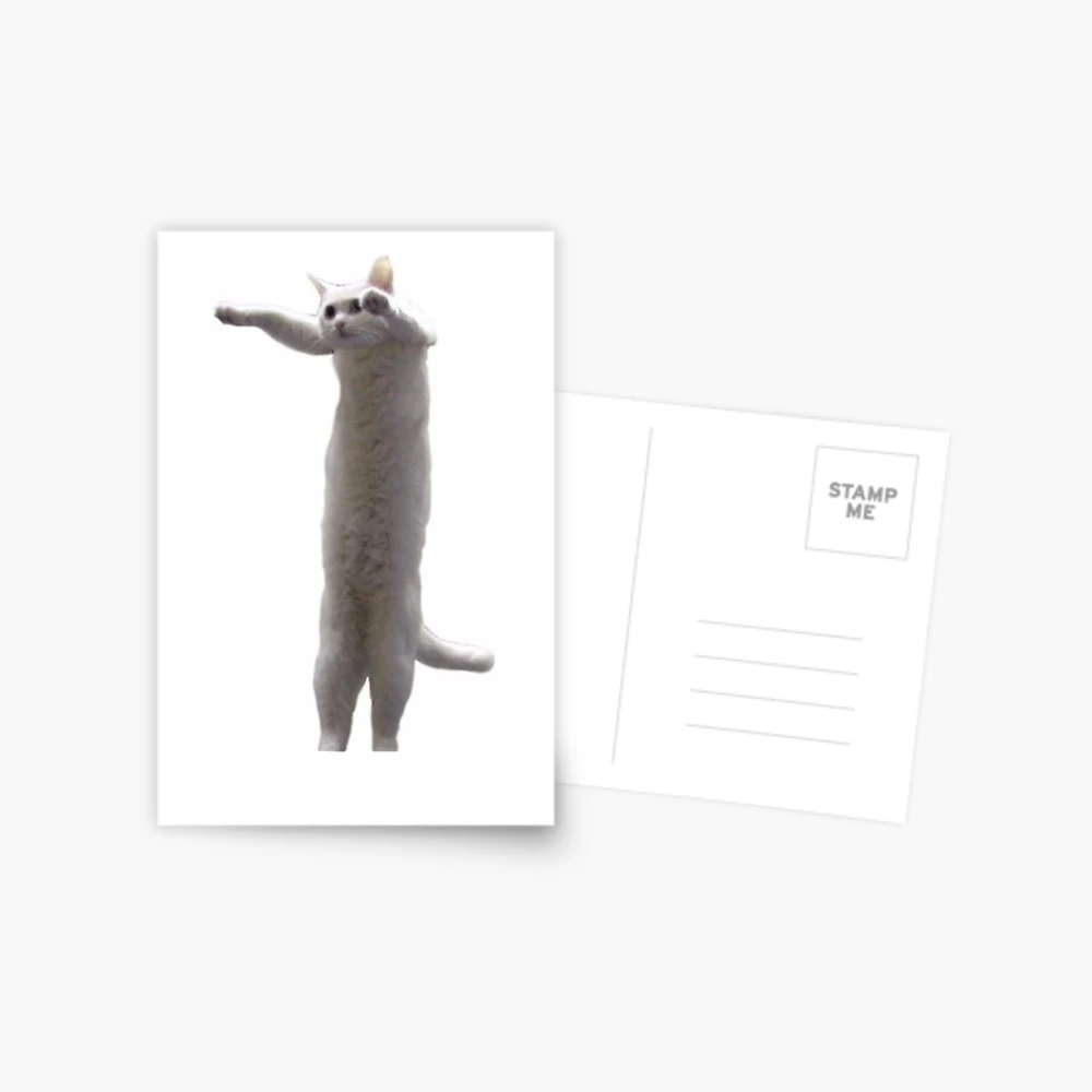 Long Cat Meme Photographic Print for Sale by lolhammer