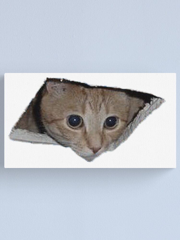 Ceiling Cat Meme Canvas Print By Lolhammer Redbubble