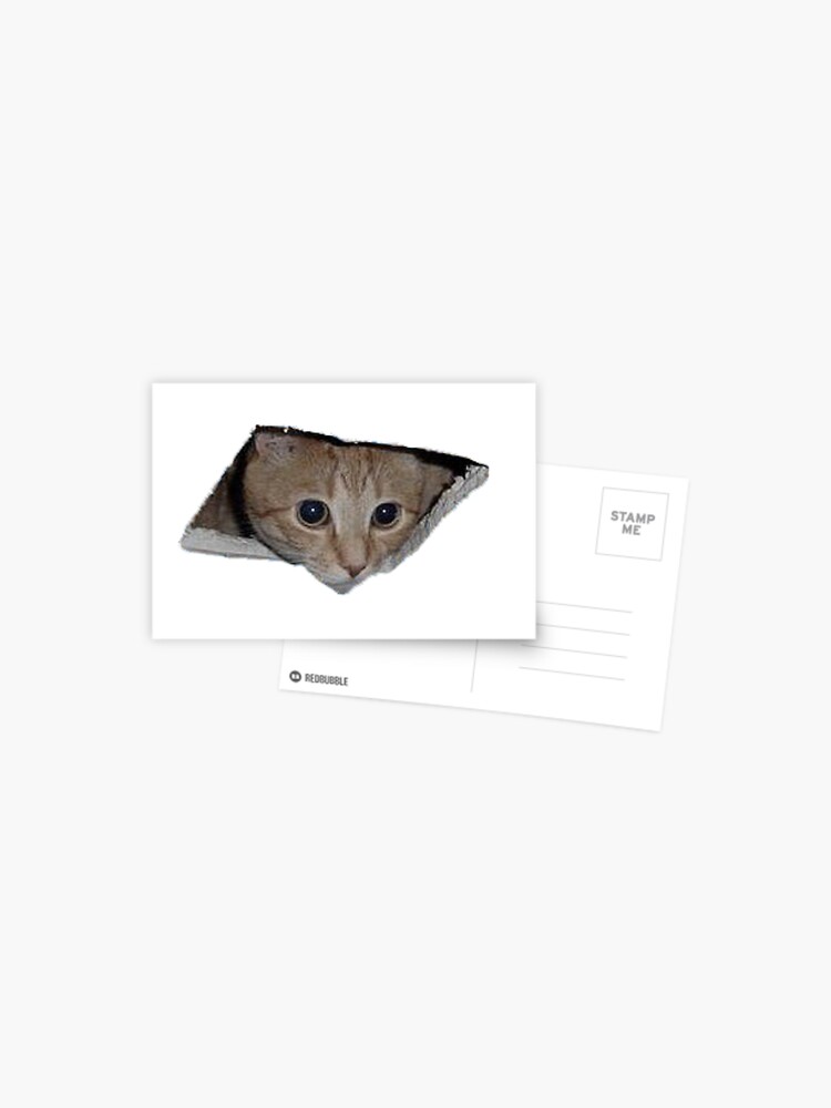 Ceiling Cat Meme Postcard By Lolhammer Redbubble