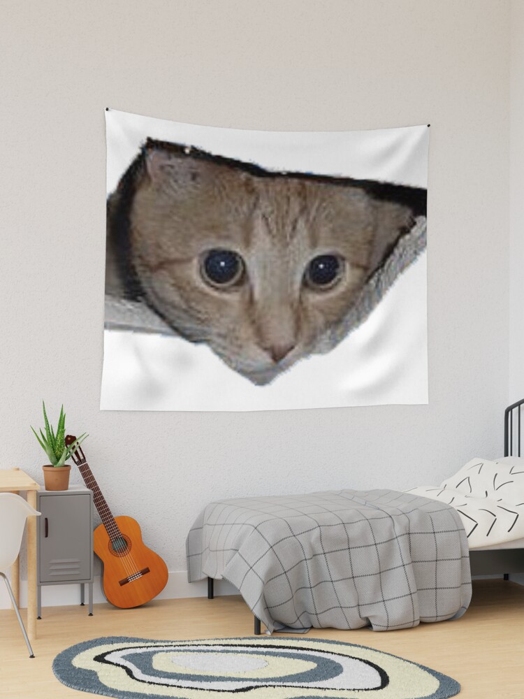 Long Cat Meme Photographic Print for Sale by lolhammer