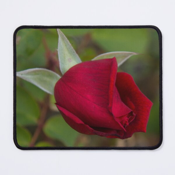 Item preview, A Ruby Red Promise designed and sold by Georgia Mizuleva.