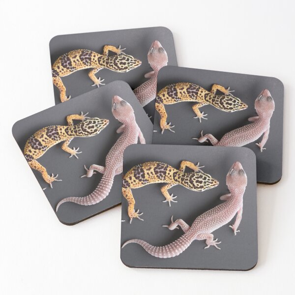 Item preview, Leopard Gecko and Albino Leopard Gecko  designed and sold by ScienceSource.