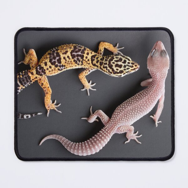 Item preview, Leopard Gecko and Albino Leopard Gecko  designed and sold by ScienceSource.
