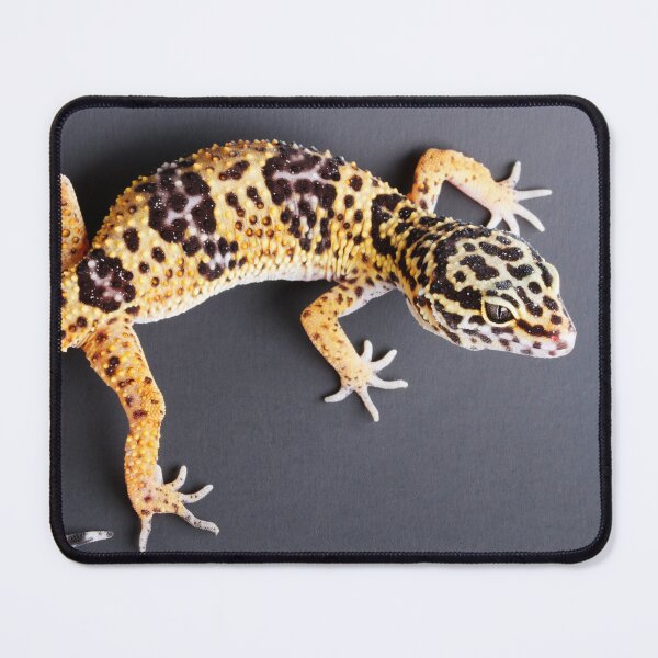 Item preview, Leopard Gecko designed and sold by ScienceSource.