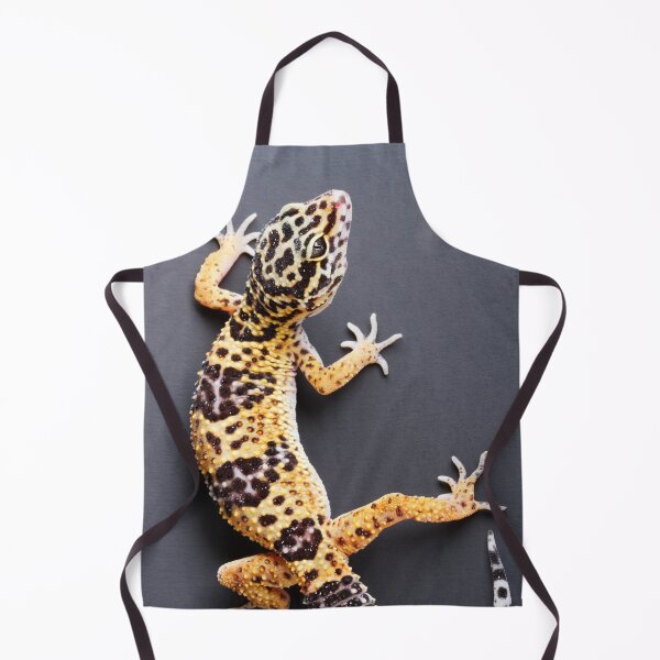 Item preview, Leopard Gecko designed and sold by ScienceSource.