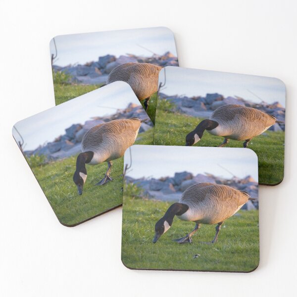 Item preview, Canada Goose designed and sold by Kurt Schaffer.