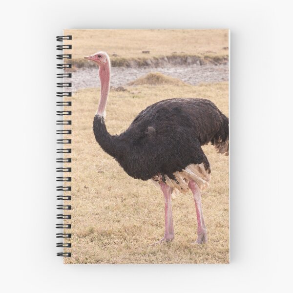 Item preview, Ostrich designed and sold by ccullen222.