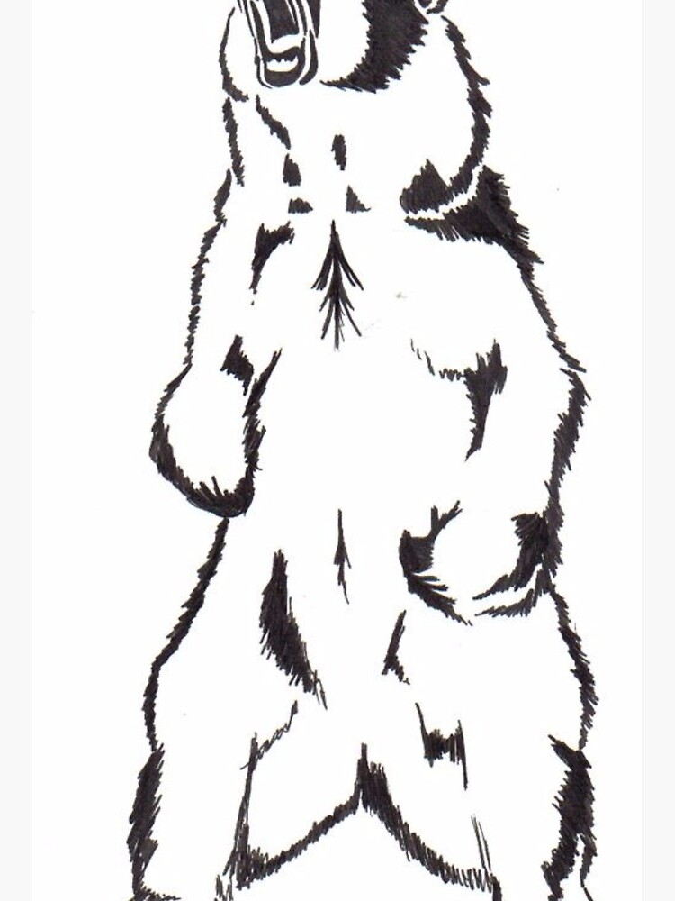 Grizzly Bear Stencil
