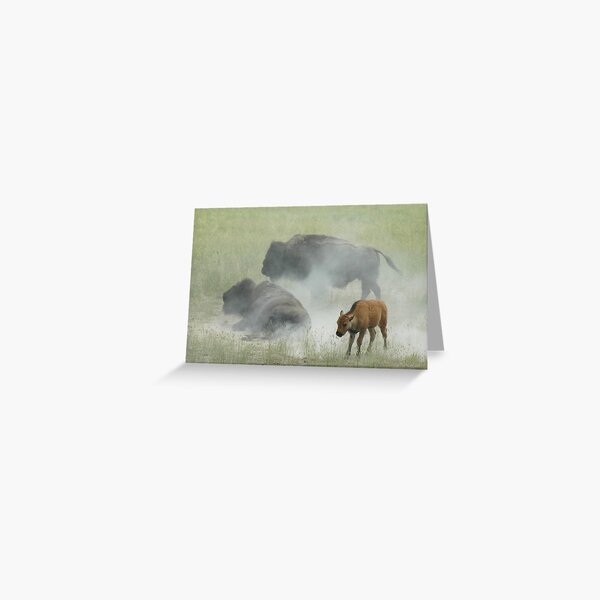 Trying to Stay Clean Greeting Card