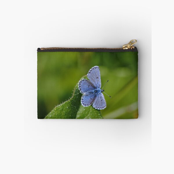 Item preview, Plebejus argus designed and sold by iago rodriguez dopico.