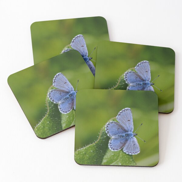 Item preview, Plebejus argus designed and sold by iago rodriguez dopico.