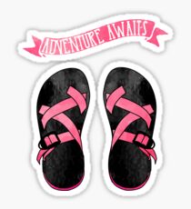 Pink Chacos Sticker