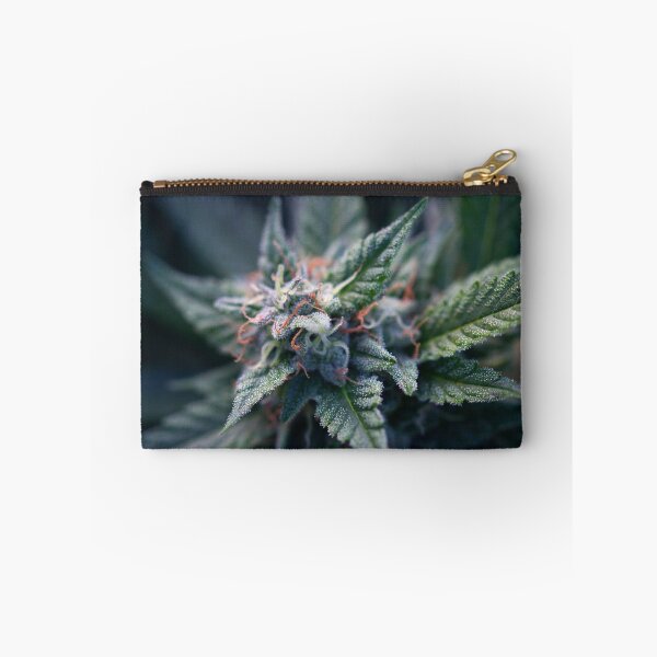 Item preview, Untitled designed and sold by DevilsLettucePh.