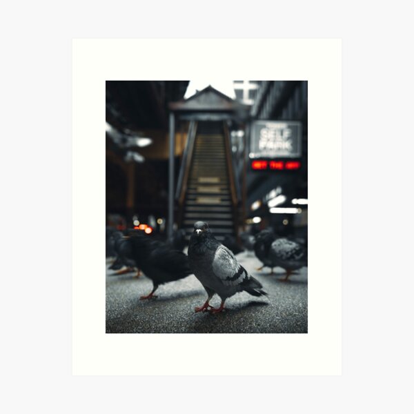 Pigeon City Portrait Art Print