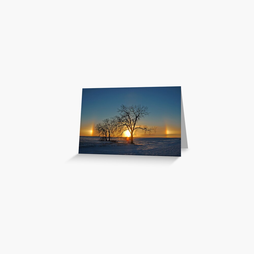 Item preview, Greeting Card designed and sold by jwwalter.