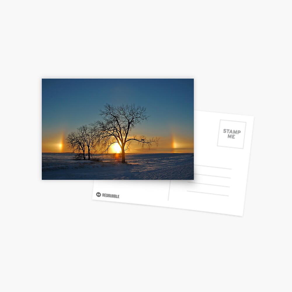 Item preview, Postcard designed and sold by jwwalter.