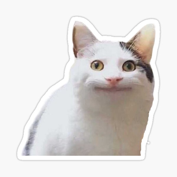 Beluga Cat Meme Emotes 