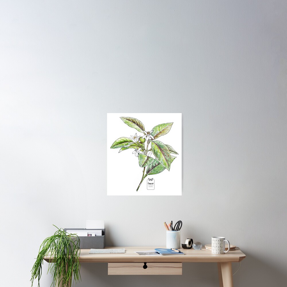 Aperçu de l'œuvre Poster créée et vendue par IsaureEcartfixe.