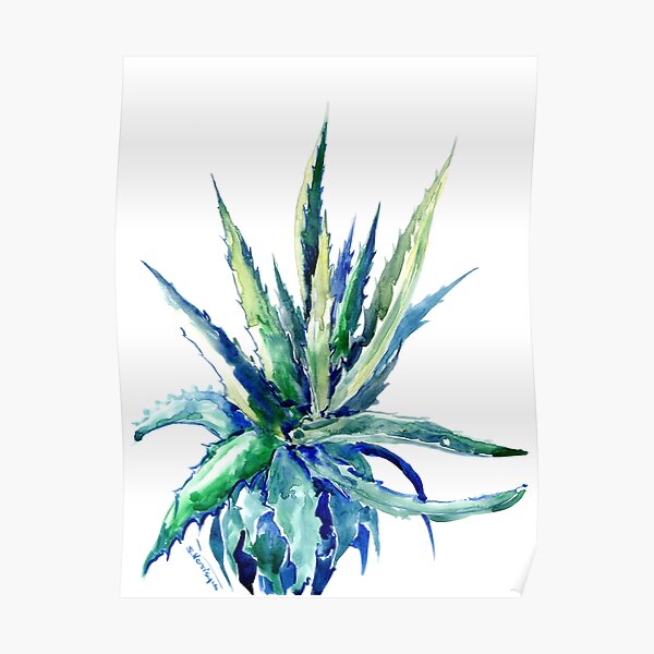 Алоэ арт. Алое арты. Алоэ рисунок. Алое арты. Алоэ агава.