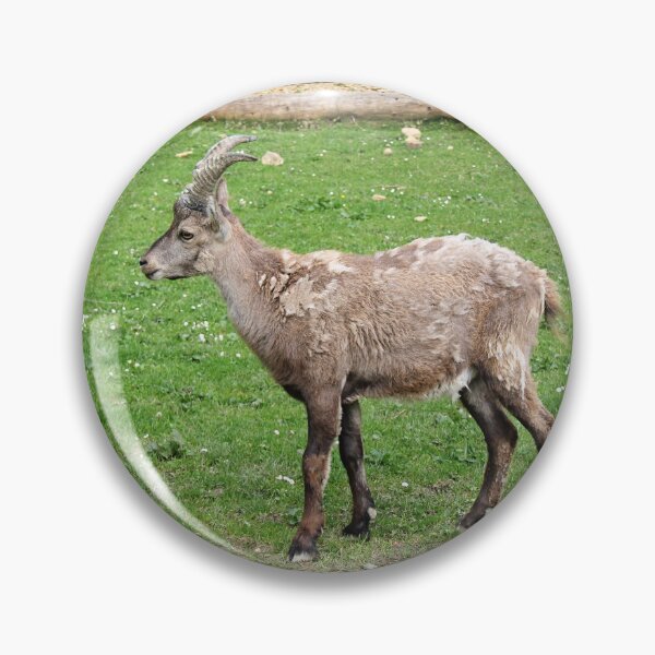 Item preview, Alpine Goat in Animal Park designed and sold by Angela Cini.