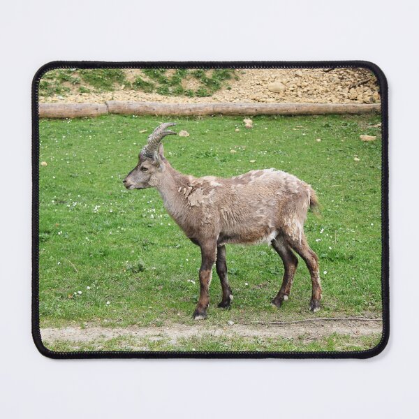 Item preview, Alpine Goat in Animal Park designed and sold by Angela Cini.